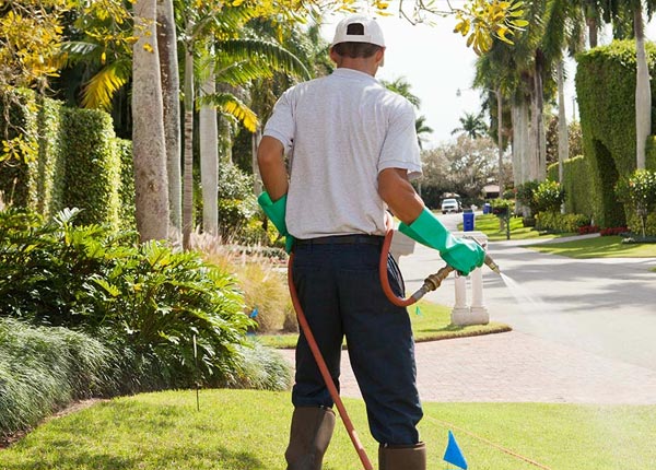 About Ewing NE Pest Control